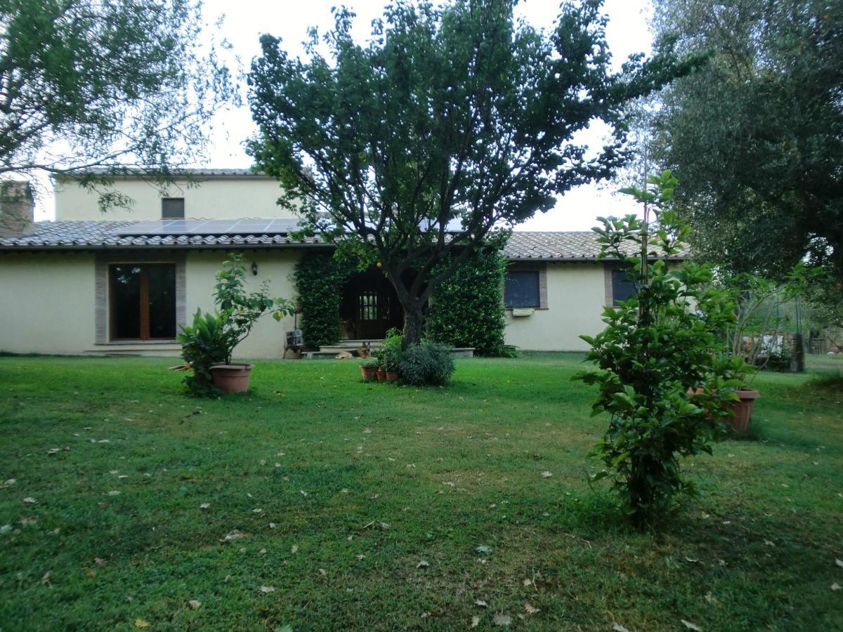 I Massi Bed & Breakfast San Michele in Teverina Eksteriør bilde